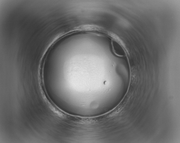 X0000073481091200608140810