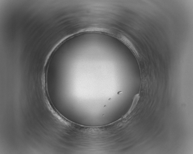 X0000073481092200608140810