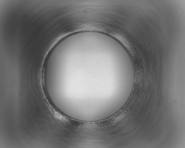 X0000073481094200608140810