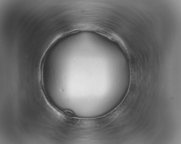 X0000073481095200608140810