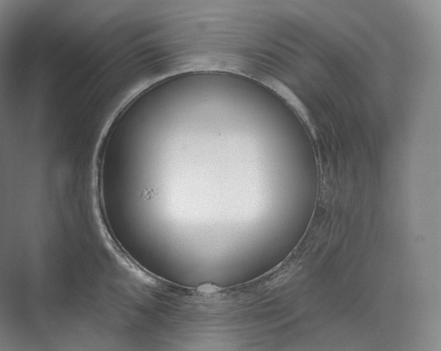 X0000073481096200608140810