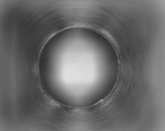 X0000073481097200608140810