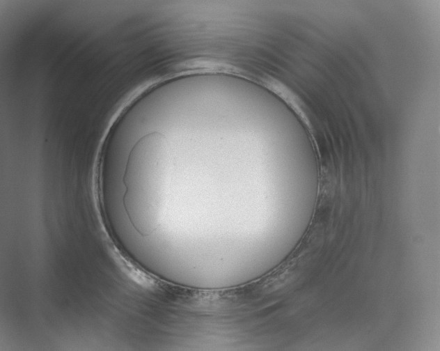 X0000073481098200608140810