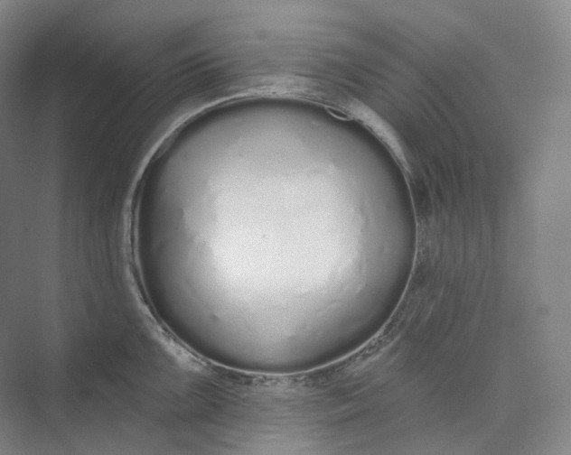 X0000073481099200608140810