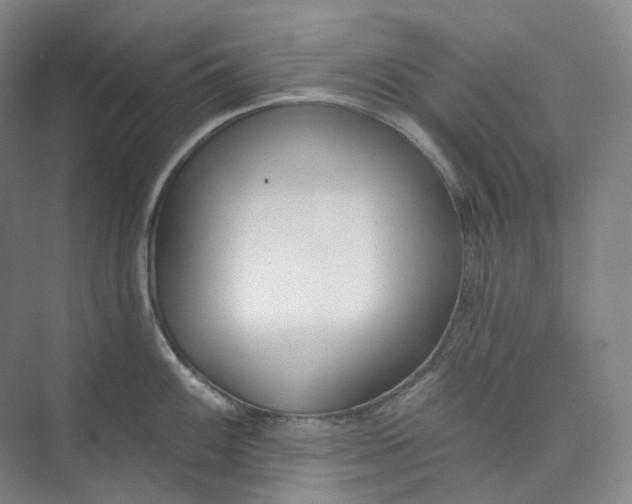 X0000073481100200608140810