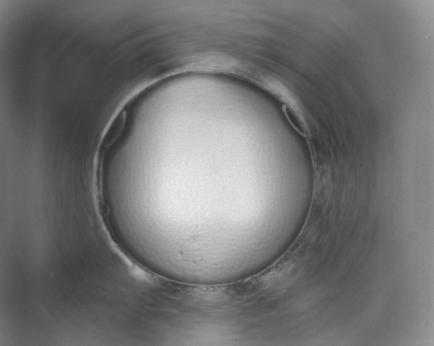 X0000073481103200608140810