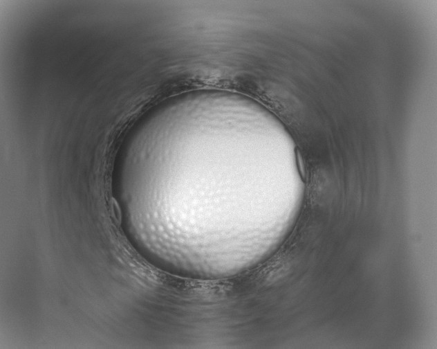 X0000073481105200608140809