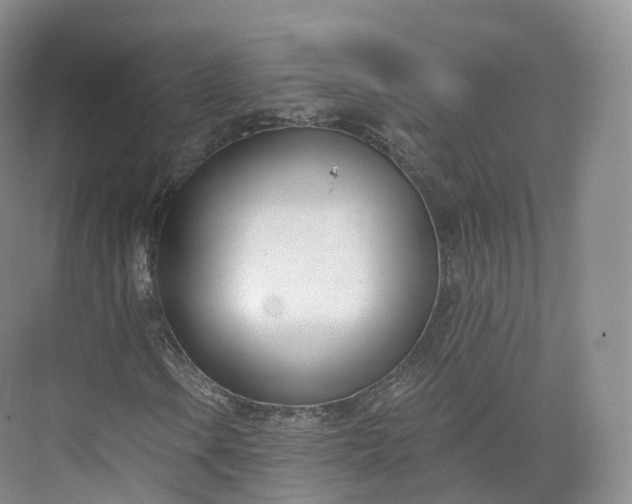 X0000073481106200608140809