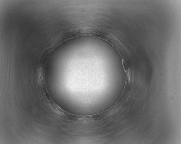 X0000073481107200608140809