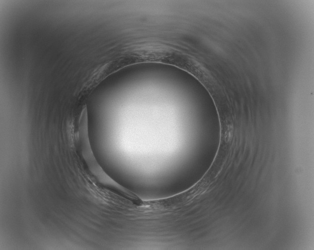 X0000073481108200608140809