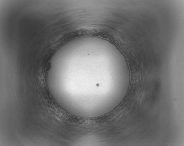 X0000073481109200608140809