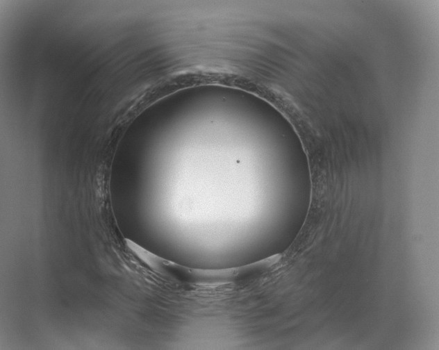 X0000073481110200608140809