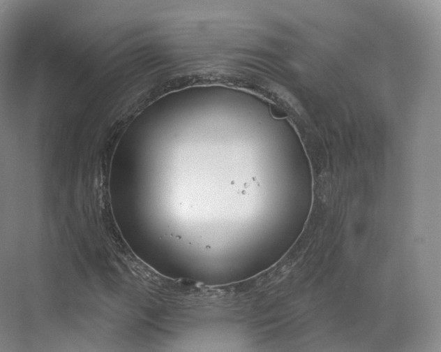 X0000073481111200608140809