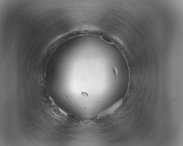 X0000073481112200608140809