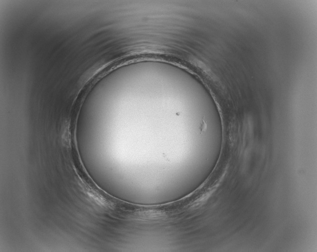 X0000073481113200608140809