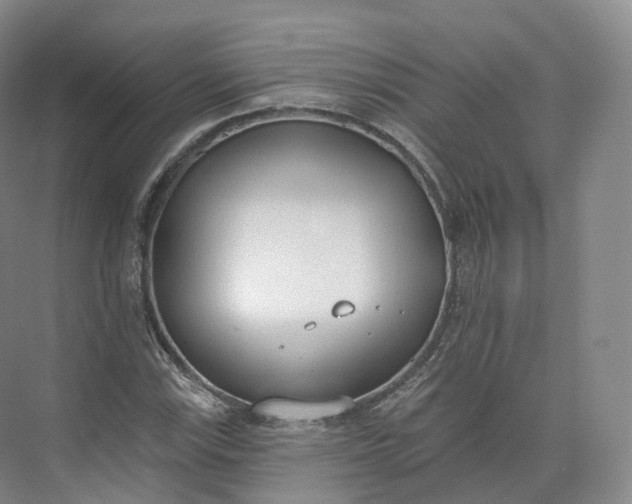 X0000073481115200608140809