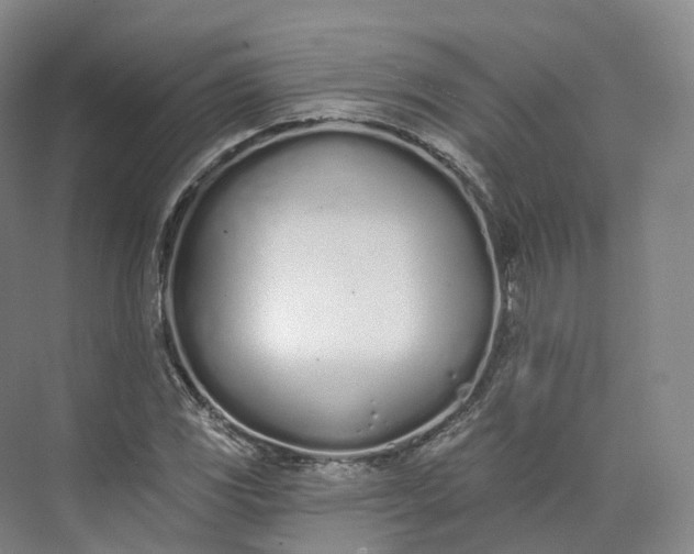 X0000073481117200608140809