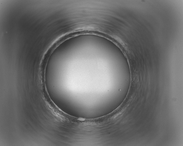 X0000073481118200608140809