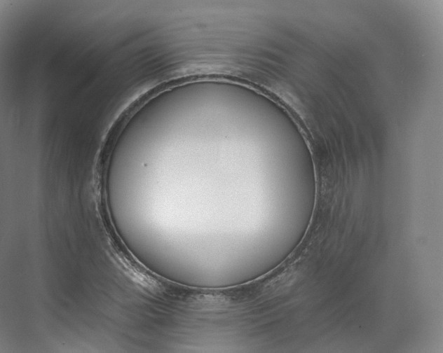 X0000073481119200608140809