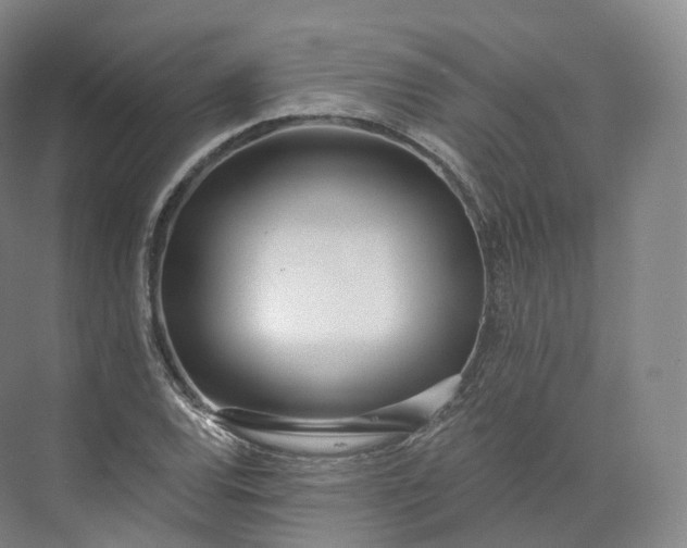 X0000073481120200608140809