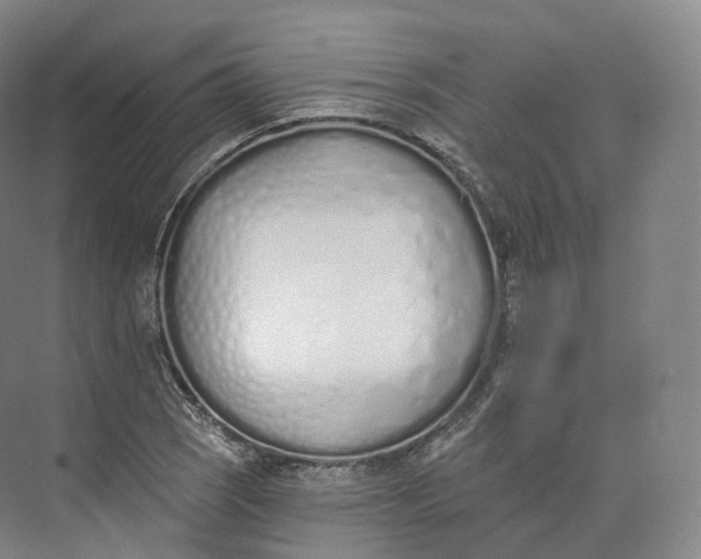 X0000073481121200608140809