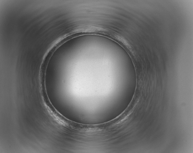 X0000073481122200608140809