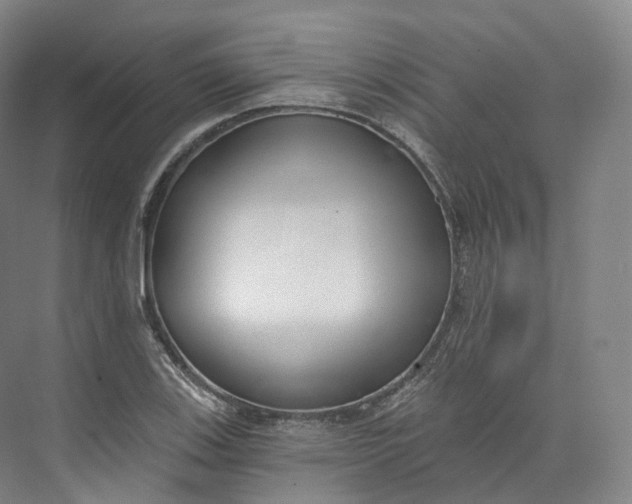 X0000073481123200608140809