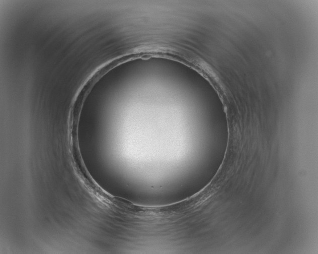 X0000073481124200608140809