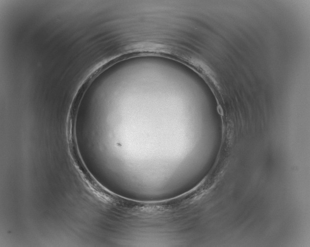 X0000073481125200608140809