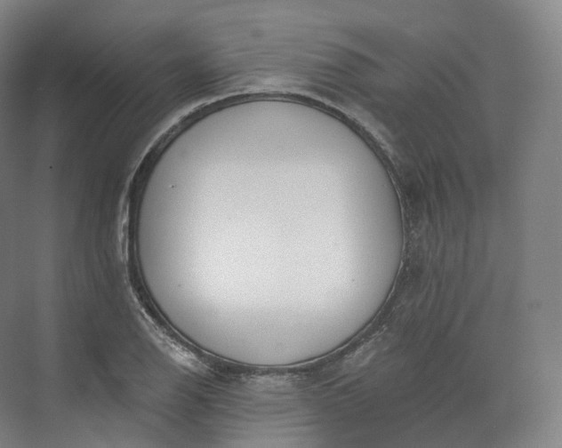 X0000073481126200608140809