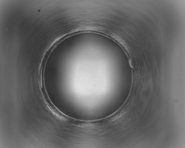 X0000073481127200608140809