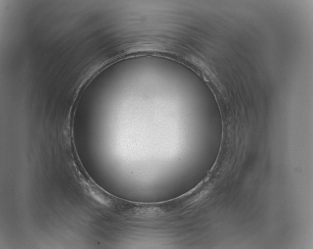 X0000073481129200608140809