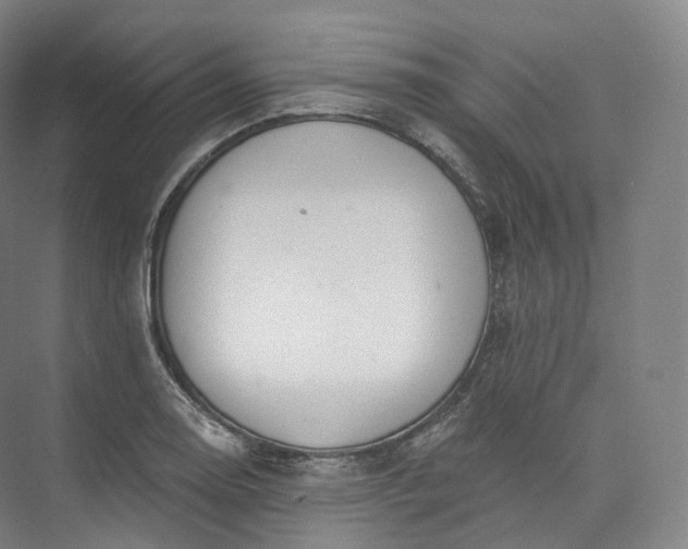 X0000073481130200608140809