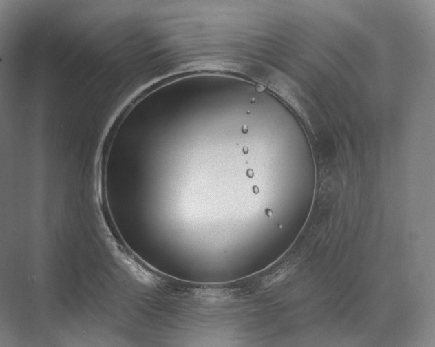 X0000073481132200608140809