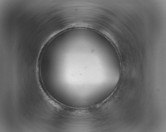 X0000073481133200608140809