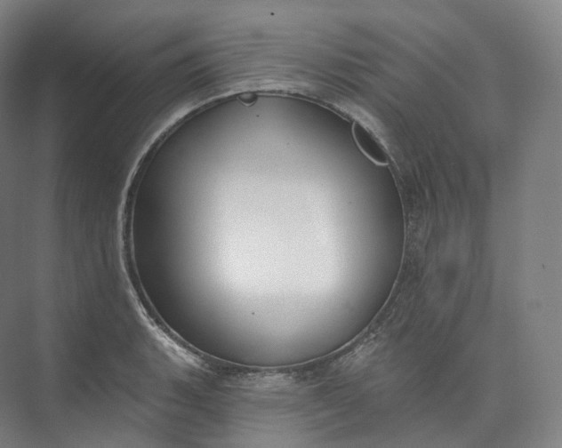 X0000073481135200608140809