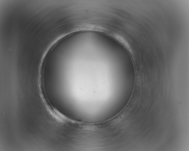 X0000073481136200608140809