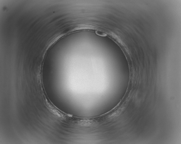 X0000073481137200608140809