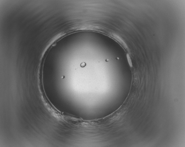 X0000073481138200608140809