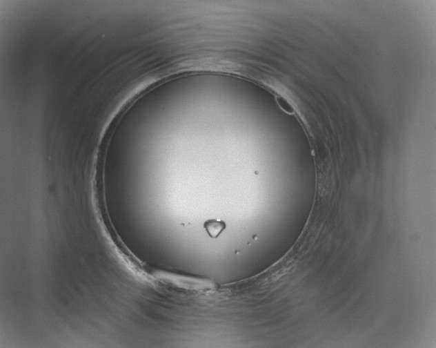 X0000073481139200608140809