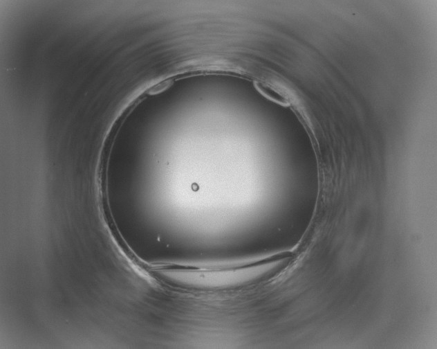 X0000073481141200608140809