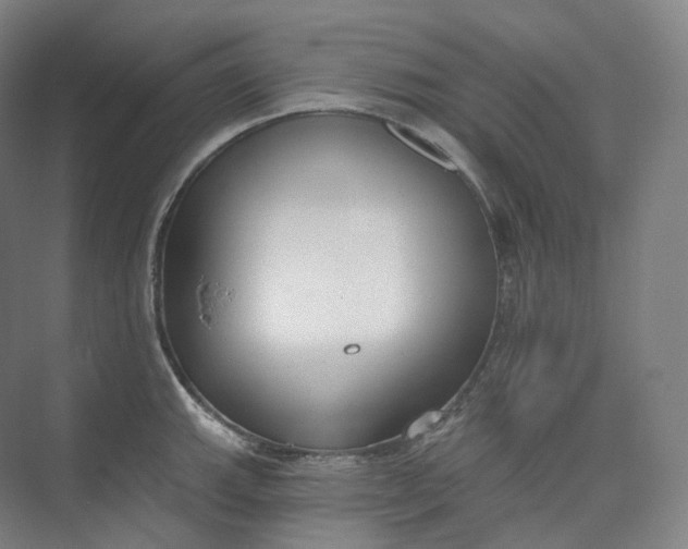 X0000073481143200608140809