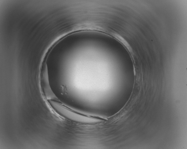 X0000073481144200608140809