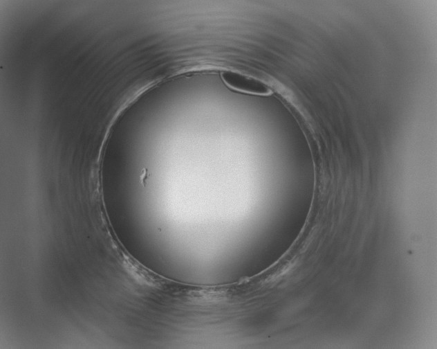 X0000073481145200608140809