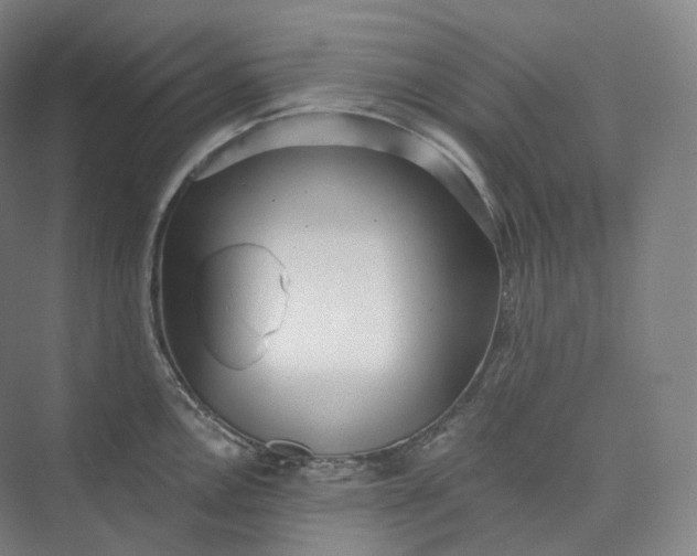 X0000073481146200608140809