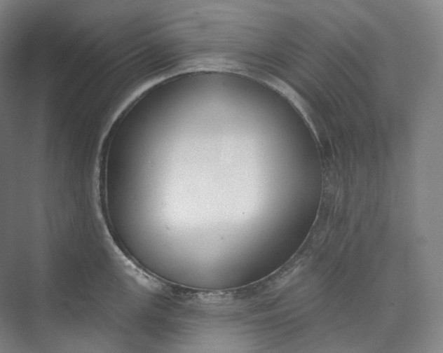 X0000073481147200608140809