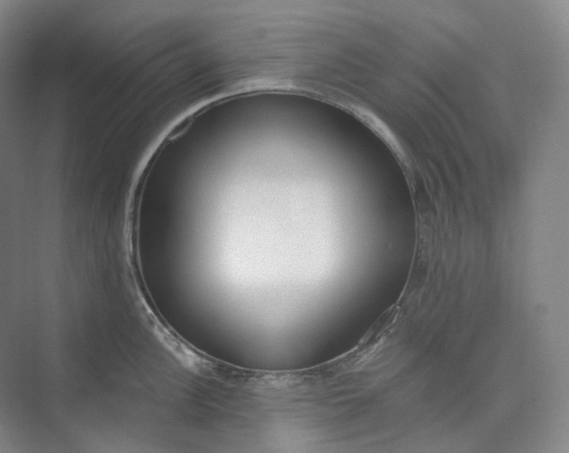 X0000073481148200608140809