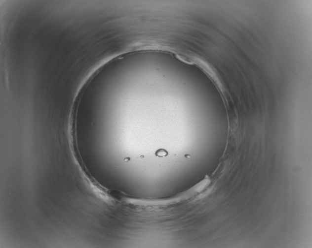 X0000073481149200608140809