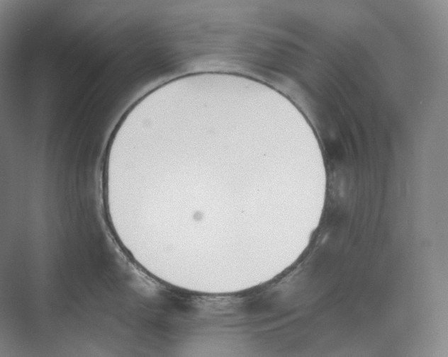 X0000073481150200608140809