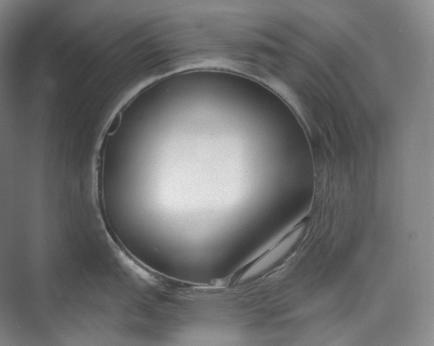 X0000073481151200608140809